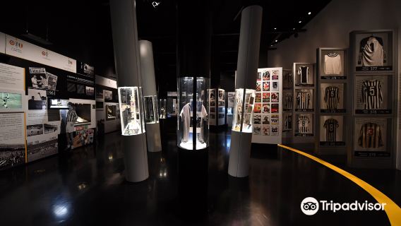 Royal Palace of Turin/Politecnico di Torino + Juventus Museum + Palazzo Stupinigi