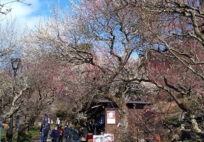 Atami Plum Garden