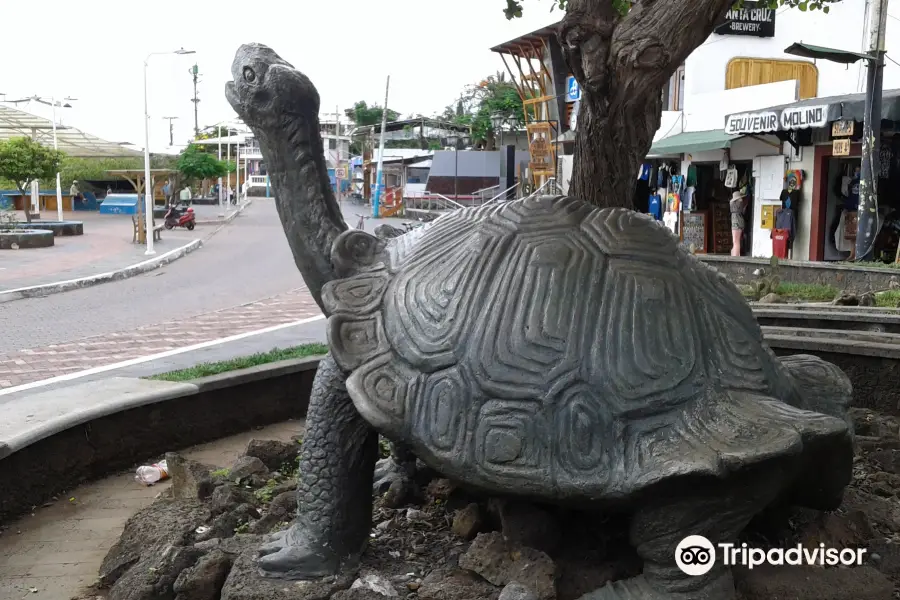 Monumento de la Tortuga