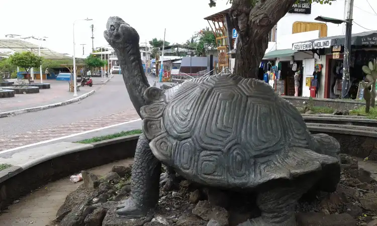 Hotels near Monumento de la Tortuga