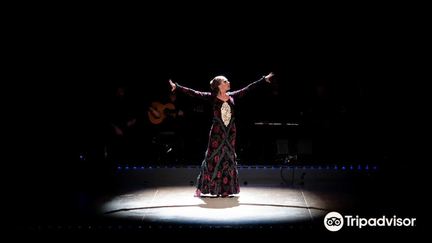 5_Flamenco City Hall Theatre - Barcelona