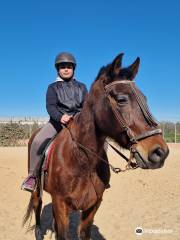 Equestrian Center Entrepinares