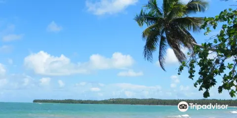 Boipeba