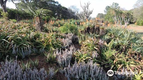 Ewanrigg Botanical Gardens