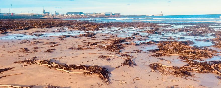 Fraserburgh beach