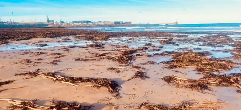 Hotels in Fraserburgh