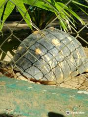 Parque zoológico de Ivoloina