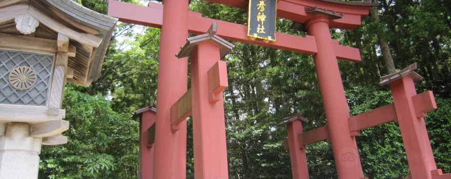 Yahiko Otorii