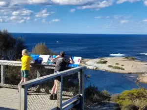 Whalers Lookout Scenic reserve