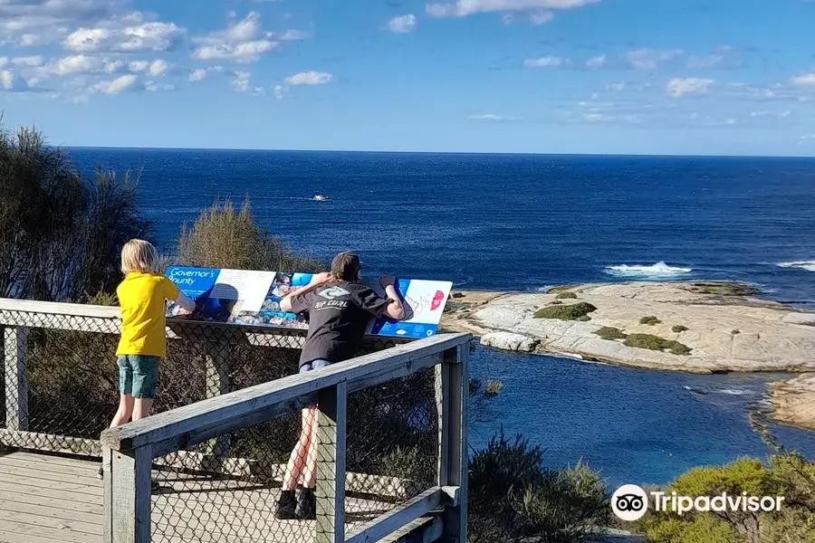 Whalers Lookout Scenic reserve