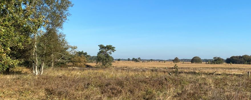 Natuurgebied Holtingerveld