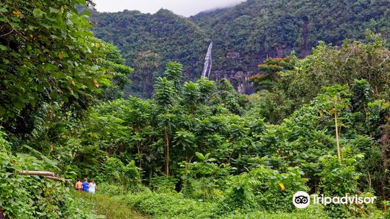 Afareaitu Waterfalls