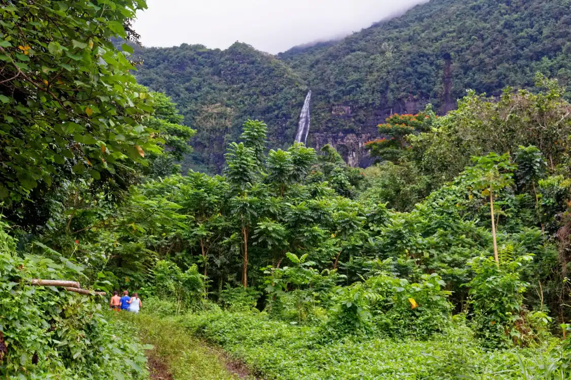 Hotels near Afareaitu Waterfalls