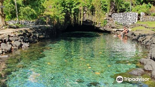 Piula Cave Pool