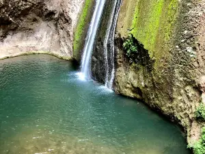 Iyon Stream Nature Reserve