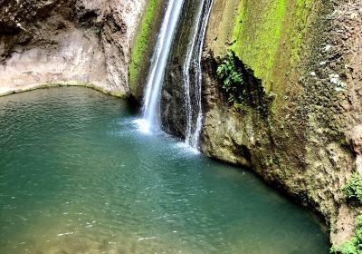 Iyon Stream Nature Reserve