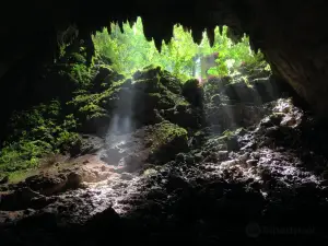 Cavernas del Rio Camuy National Park