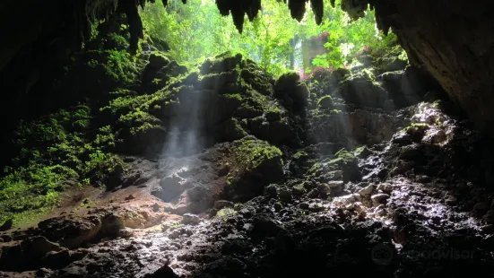 Cavernas del Rio Camuy National Park