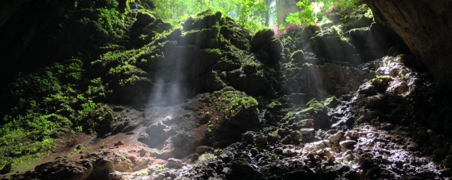 Cavernas del Rio Camuy National Park
