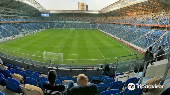 Stadio Sammy Ofer