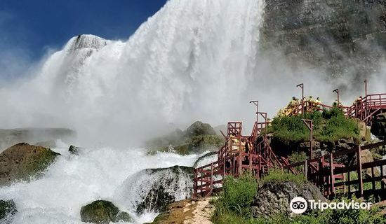 로체스터