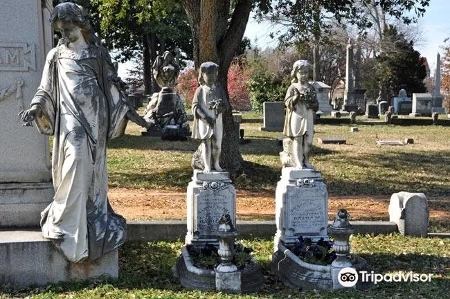 Mt. Holly Cemetery