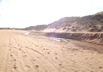 Balmedie