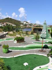 Minigolf the green