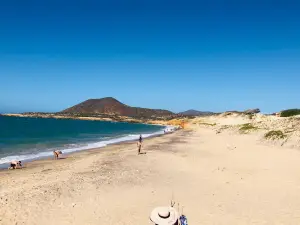 Punta Arena Beach