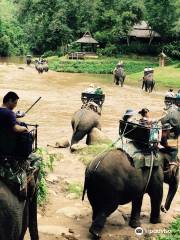 湄登大象訓練營