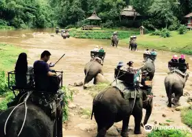 Maetang Elephant Park