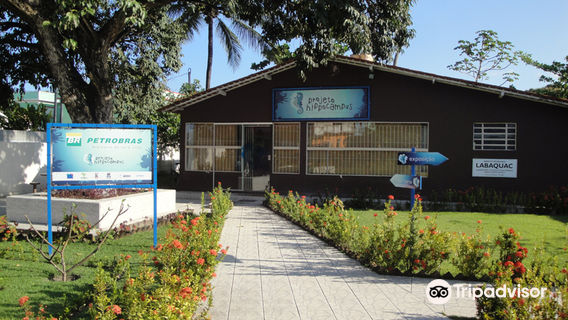 Porto de Galinhas