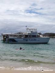 Reef Ryder Island Cruise Gold Coast