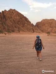 Sinai Safari Adventures