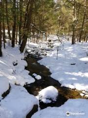 Maple Corner Farm Cross Country Ski Area