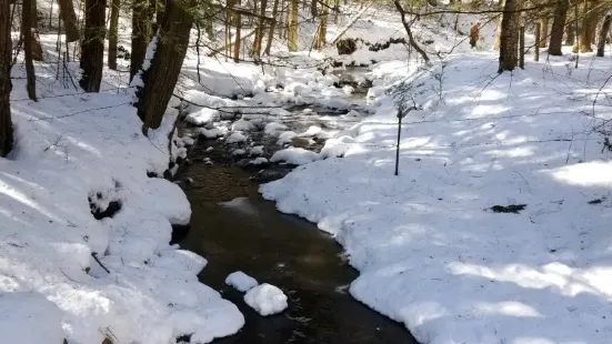 Maple Corner Farm Cross Country Ski Area