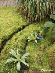 Subantarctic Plant House