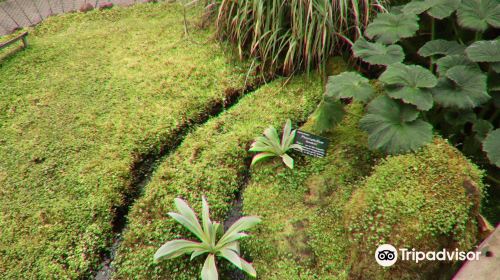 Subantarctic Plant House