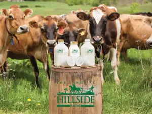 The Lands at Hillside Farms