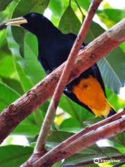 Parque Zoobotanico