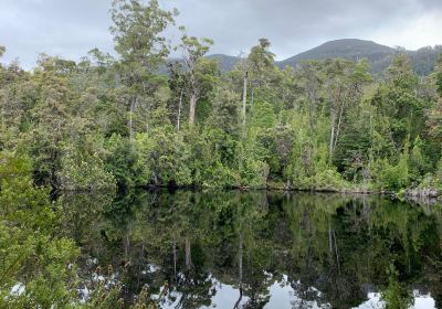 Duck Hole Lake Walk