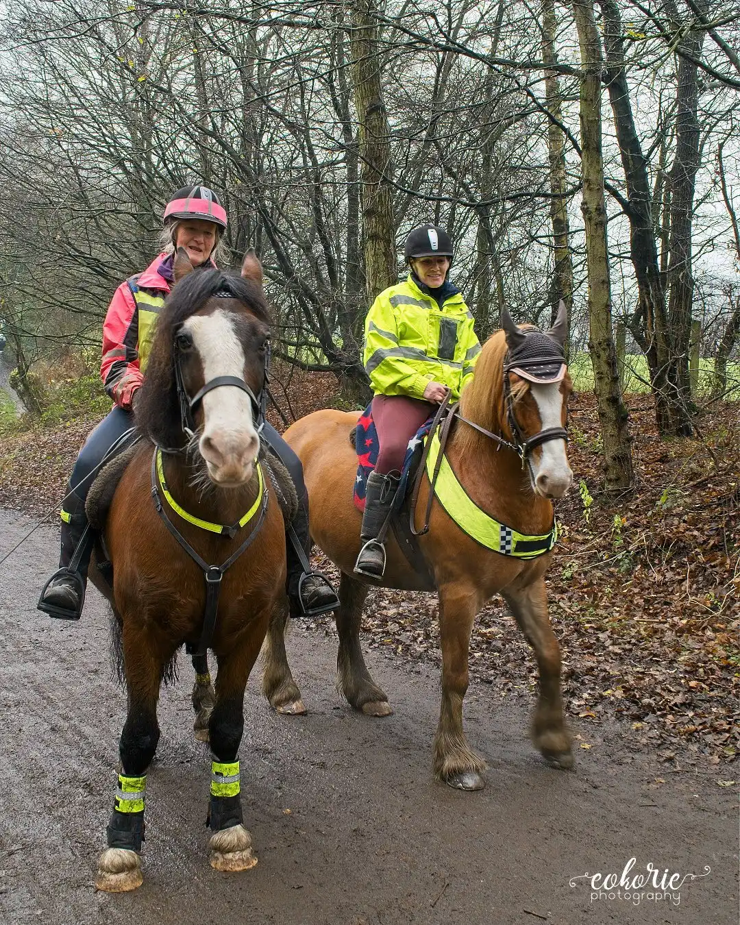 Hotels near Middlewood Way