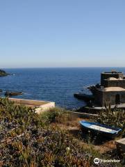 Cala Levante Diving School