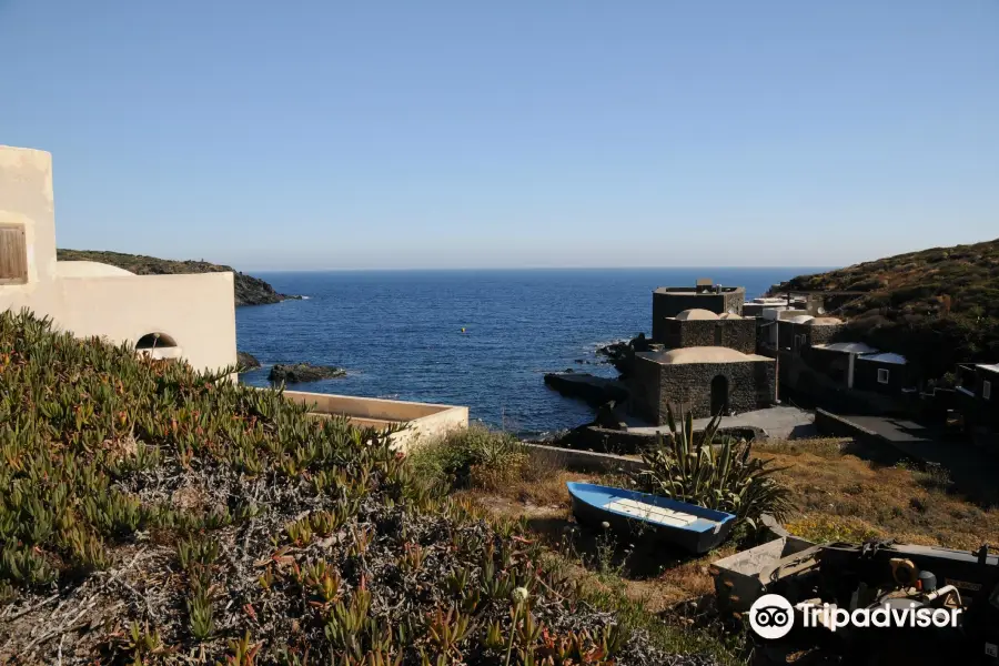 Cala Levante Diving School