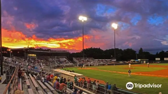 Pohlman Field