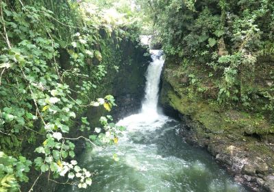 Waterfall Sauniatu