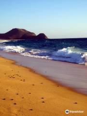 Tortugueros Las Playitas