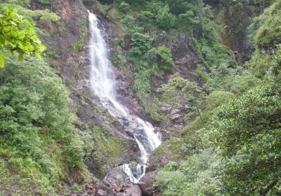 Parque Nacional Chorro el Indio