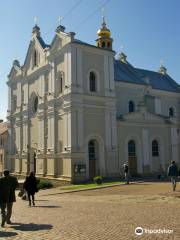 Drohobych Trinity Cathedral