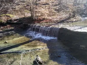 Mill Stream Run Reservation